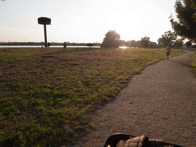 彩湖（埼玉県）公園内の小道（path）、つまりサイコパス