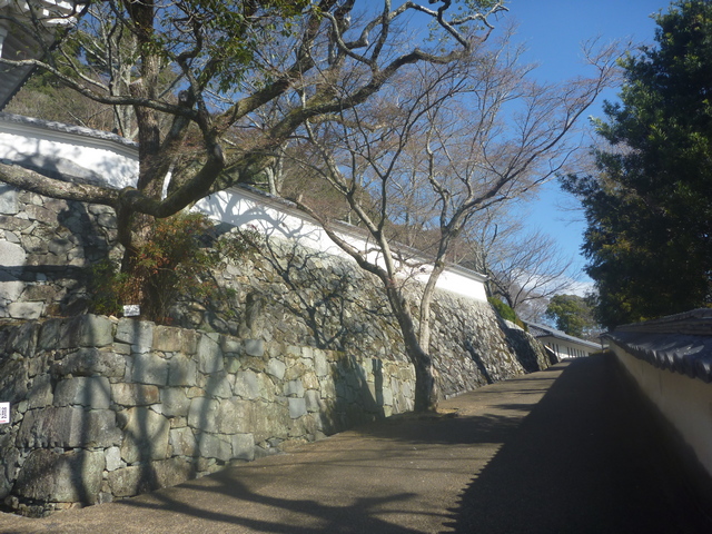 Tatsuno_Castle_04.jpg 255KB